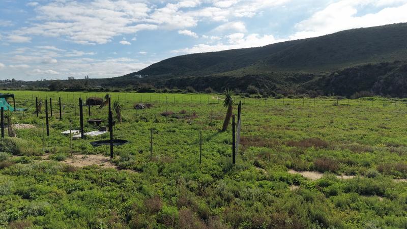 0 Bedroom Property for Sale in Van Wyksdorp Western Cape